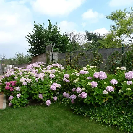 Апартаменты Rurales Antojanes Гранда